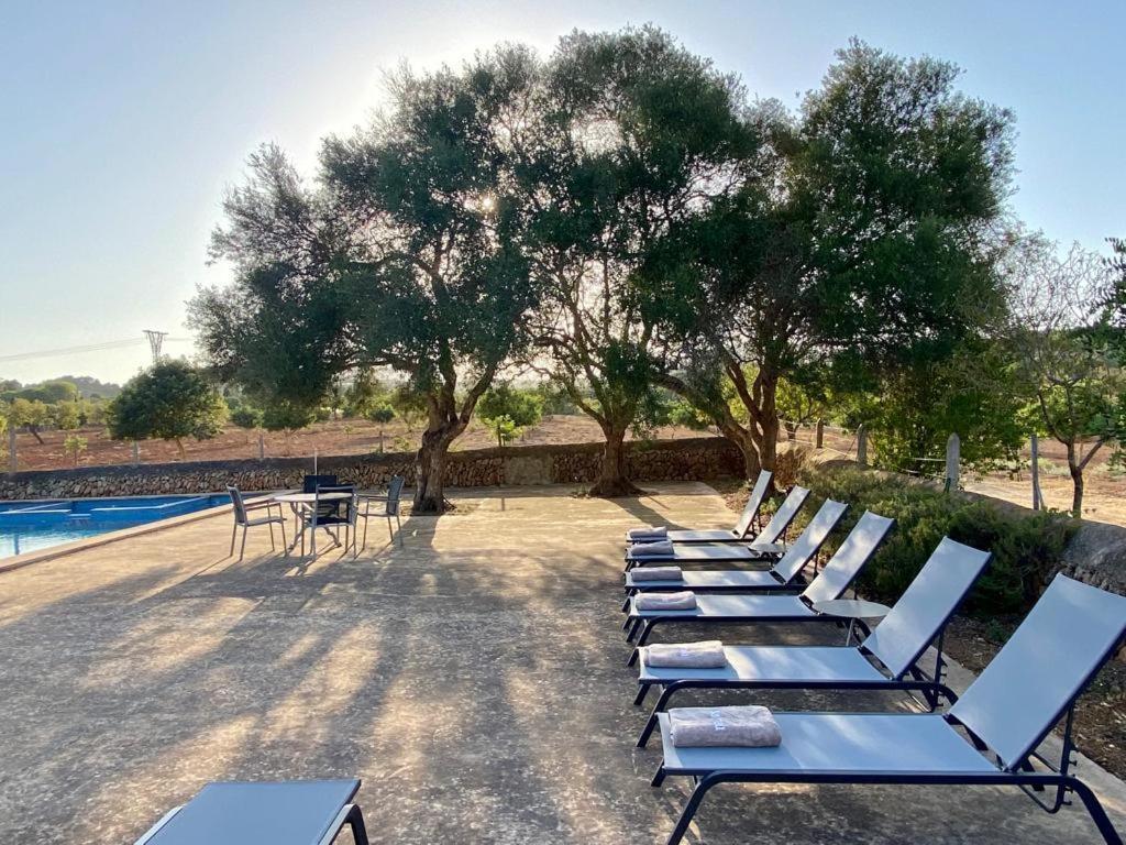 Sa Nau Agroturismo - Adults Only Over 16 푸에르토 콜롬 외부 사진