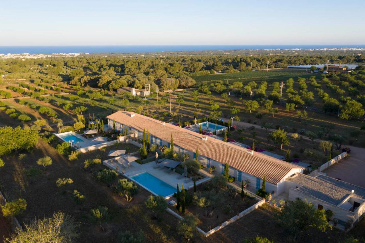 Sa Nau Agroturismo - Adults Only Over 16 푸에르토 콜롬 외부 사진
